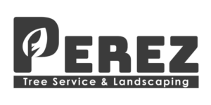 Logo for PEREZ Tree Service & Landscaping: A stylized tree with vibrant green leaves, surrounded by the company name in bold, modern font.